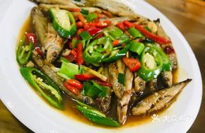 Wild Stick Fish