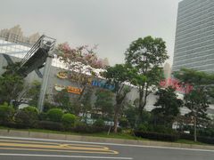 -万达广场(东莞厚街店)