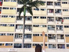 -彩虹村