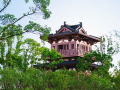 -云碧峰国家森林公园