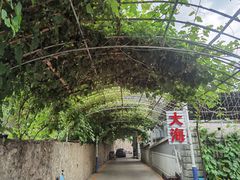 -大海别墅民宿农家院(十渡店)