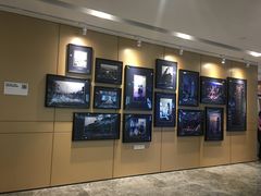 -WFC会仙楼观景台