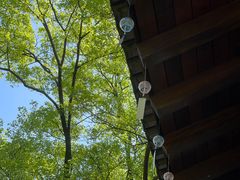 -南京老山国家森林公园