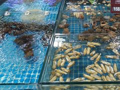 -尊立方海鲜酒店·生日宴·家宴