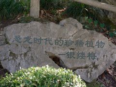 -善卷洞风景区
