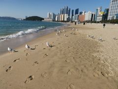 -海云台海滩