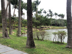 -海上田园