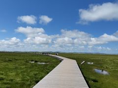 -花湖生态旅游区