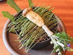 炭烤美味鲜松茸-龙吟山房(青龙山庄店)