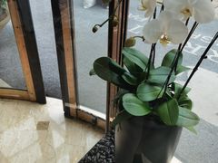 -上海新发展亚太JW万豪酒店