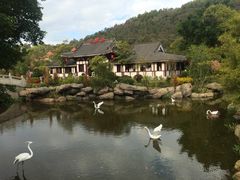 -河源客天下-温泉小镇