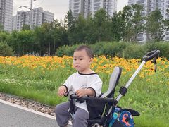 -南关北海公园