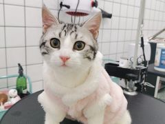 -BABIT巴比特宠物(MOMOPARK店)