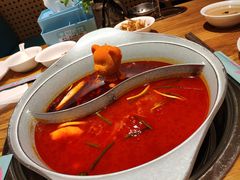 -青瓷火锅料理(西单大悦城店)
