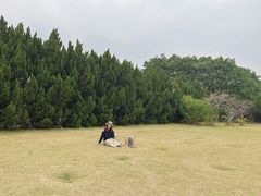 -南沙蒲洲花园