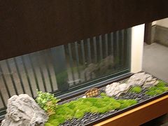 -大妙火锅·非物质文化遗产(东湖公园店)