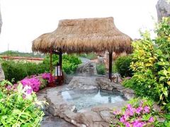 -金孔雀温泉旅游度假村