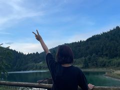 -武陵山森林公园