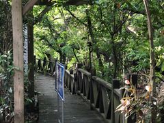 -东海大峡谷