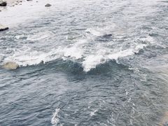 -深圳湾公园(南山区)
