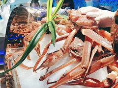 -乔哥铭洋海鲜自助(皇城恒隆广场店)