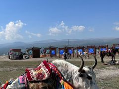 -青海湖国家重点风景名胜区