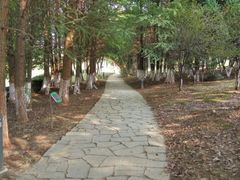 -白塘生态植物园