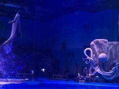 -华夏文旅西安度假区