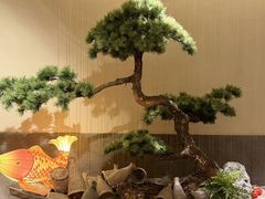 -北海渔村酒楼·粤菜海鲜点心(新华店)