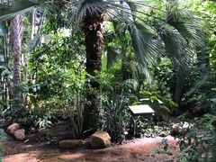 热带植物园-金头公园