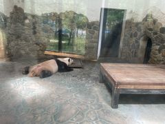 -涨巢·潮玩水疗局