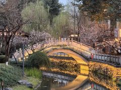 -铁像寺水街