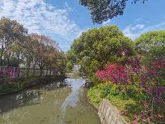 -南汇桃花村