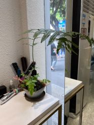 点击看大图 -菲·木田moontin造型salon