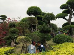 -南宁南湖公园