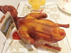 -大鸽饭(岗顶店)