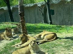 -北京野生动物园