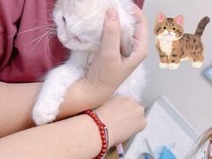 -美联众合爱康动物医院•复杂内科•肿瘤科•牙科•腔镜诊疗中心