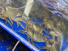 -阳澄湖大闸蟹·琼灵阁牌品牌连锁(吴中总店)