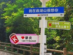 -鼎湖山风景区
