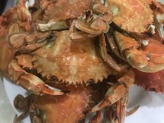 -春华海鲜城(广场西苑店)