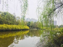 -成都南湖公园