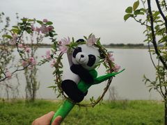 -苏州太湖国家湿地公园