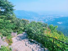-香山公园