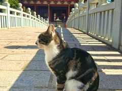 -莆田南少林寺