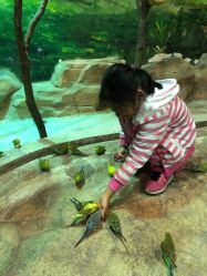 -宝燕乐园(闵行旗舰店)