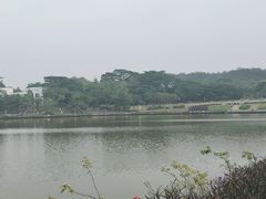 -东莞植物园