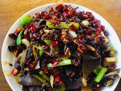 -福苗小骆驼烧烤(莲湖路店)
