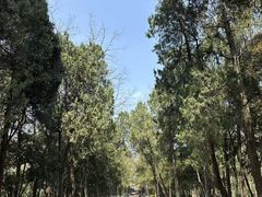 -灵谷景区