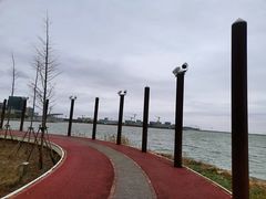 -南汇嘴观海公园